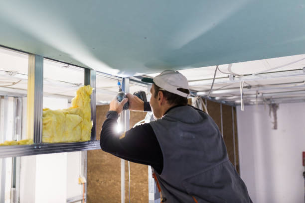 Best Affordable Insulation Services  in Nitro, WV
