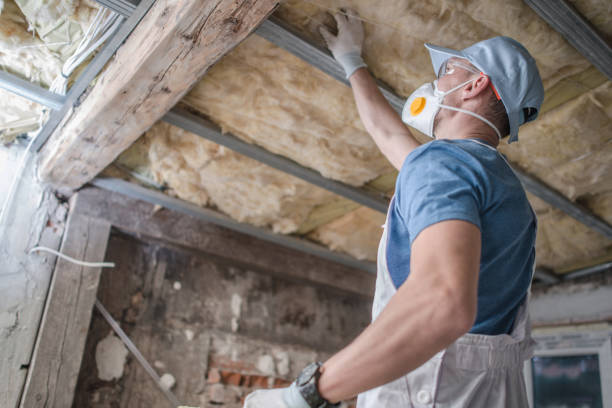 Best Soundproof Insulation Installation  in Nitro, WV