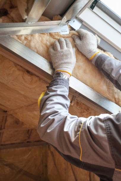Best Crawl Space Insulation  in Nitro, WV