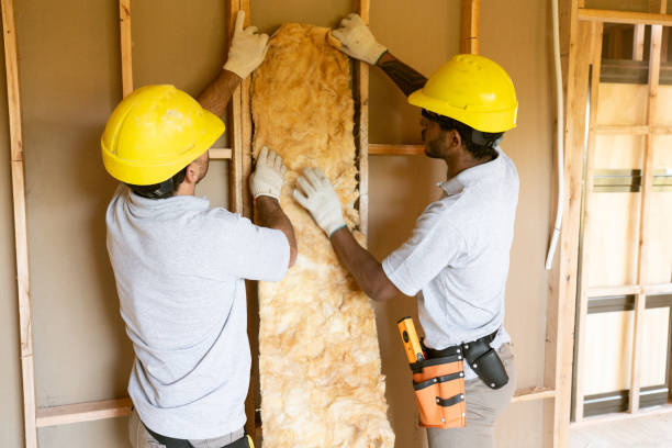 Best Insulation Replacement Services  in Nitro, WV