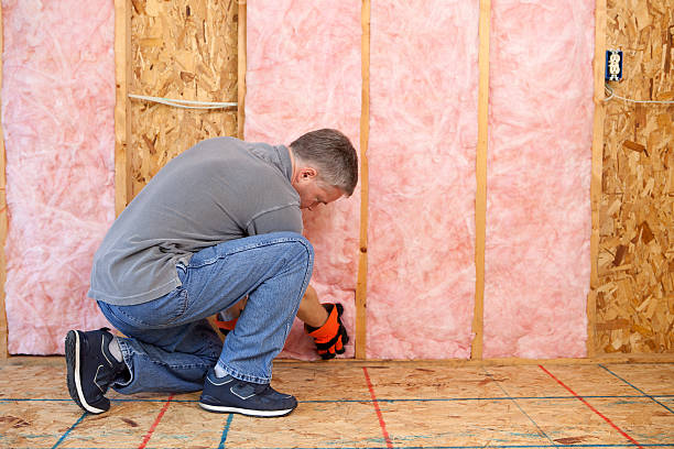 Best Insulation Inspection Services  in Nitro, WV